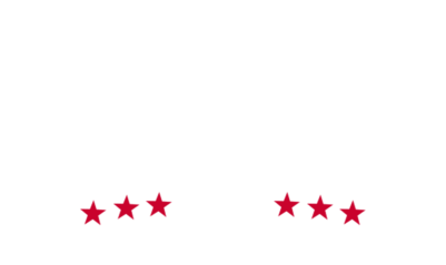 dynasty logo